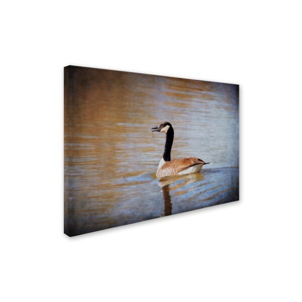 Jai Johnson 'Canadian Goose In The Water' Canvas Art,35x47